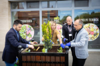 Ennek a képnek nincs leírása.