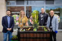 Ennek a képnek nincs leírása.