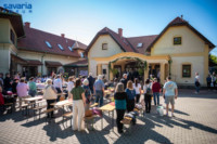 Ennek a képnek nincs leírása.