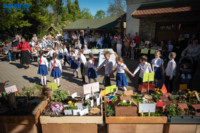 Ennek a képnek nincs leírása.