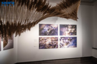 Ennek a képnek nincs leírása.