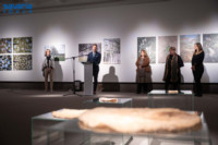 Ennek a képnek nincs leírása.