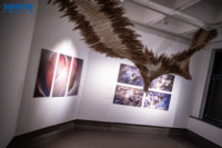 Ennek a képnek nincs leírása.