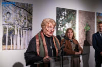 Ennek a képnek nincs leírása.