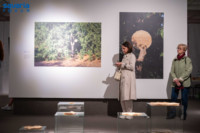 Ennek a képnek nincs leírása.