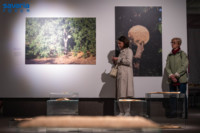 Ennek a képnek nincs leírása.