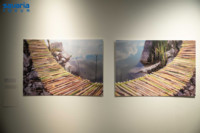 Ennek a képnek nincs leírása.