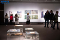 Ennek a képnek nincs leírása.