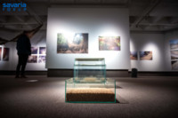 Ennek a képnek nincs leírása.