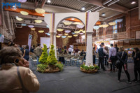 Ennek a képnek nincs leírása.