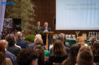 Ennek a képnek nincs leírása.