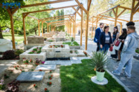 Ennek a képnek nincs leírása.