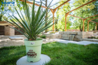 Ennek a képnek nincs leírása.