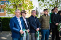 Ennek a képnek nincs leírása.