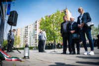 Ennek a képnek nincs leírása.