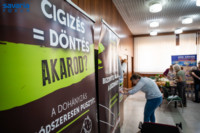 Ennek a képnek nincs leírása.