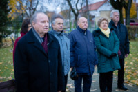 Ennek a képnek nincs leírása.