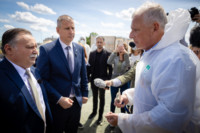 Ennek a képnek nincs leírása.