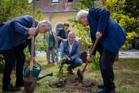 Ennek a képnek nincs leírása.