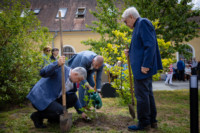 Ennek a képnek nincs leírása.