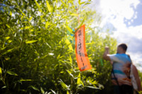 Cím nélküli előnézeti kép. Ennek a képnek nincs leírása.