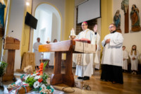 Ennek a képnek nincs leírása.
