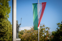 Ennek a képnek nincs leírása.