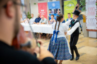 Ennek a képnek nincs leírása.