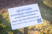 Cím nélküli előnézeti kép. Ennek a képnek nincs leírása.