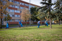 Cím nélküli előnézeti kép. Ennek a képnek nincs leírása.